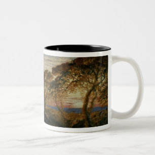 Tasse 2 Couleurs Le courant ombragé
