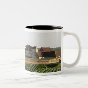 Tasse 2 Couleurs Le monastère du XVIe siècle du Clos de Vougeot e