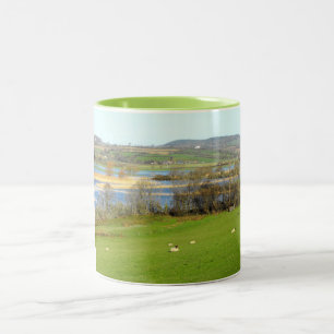 Tasse 2 Couleurs Le mouton et la rivière Exe inondée
