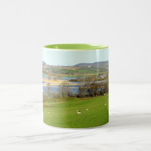 Tasse 2 Couleurs Le mouton et la rivière Exe inondée (Centre)