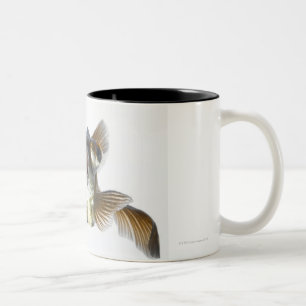Tasse 2 Couleurs Le noir amarrent le poisson rouge (l'auratus de