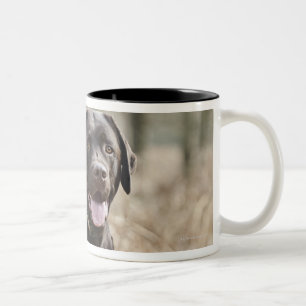 Tasse 2 Couleurs Le R-U, Angleterre, Suffolk, forêt de Thetford,