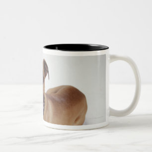 Tasse 2 Couleurs Le Staffordshire Terrier américain se couchant,