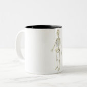 Tasse 2 Couleurs Le système squelettique (Devant gauche)