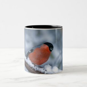 Tasse 2 Couleurs Le taureau mâle dans la bouge de neige