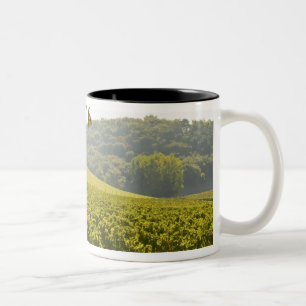 Tasse 2 Couleurs Le vignoble et une vallée avec une forêt -