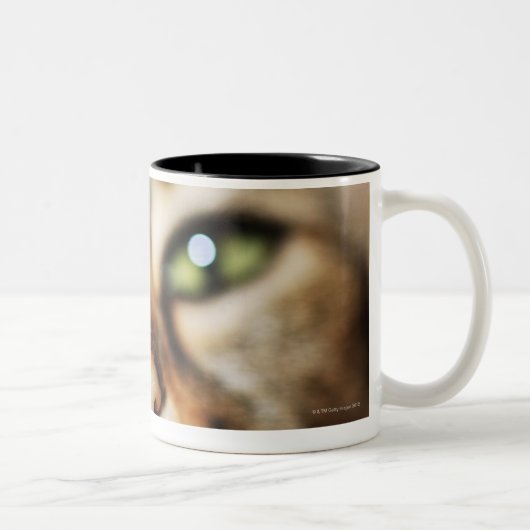 Tasse 2 Couleurs Le visage d'un chat (Droit)