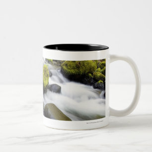 Tasse 2 Couleurs L'eau coulant par la mousse a couvert des roches