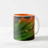 Tasse 2 Couleurs L'Eau Est Large (Devant droit)