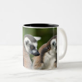 Tasse 2 Couleurs Lémuriens à queue ronde (Devant droit)