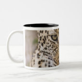 Tasse 2 Couleurs Léopard (Gauche)