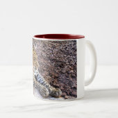 Tasse 2 Couleurs Leopard au repos (Devant droit)