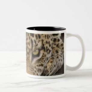 Tasse 2 Couleurs Léopard buvant, un plus grand parc national de