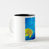 Tasse 2 Couleurs Les anthias de Bartlett (Devant gauche)