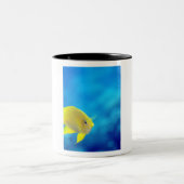 Tasse 2 Couleurs Les anthias de Bartlett (Centre)