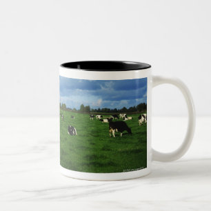 Tasse 2 Couleurs Les bétail de frison du Holstein s'approchent de