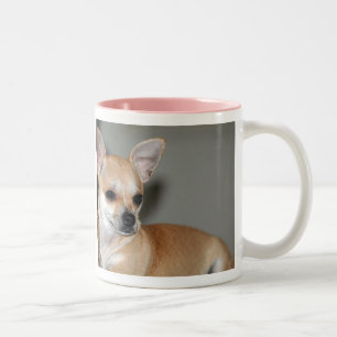 Tasse 2 Couleurs Les Chihuahuas Sont Les Meilleurs