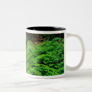 Tasse 2 Couleurs Les chutes de Sol Duc dans le parc national Olympi