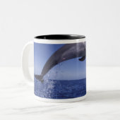 Tasse 2 Couleurs Les dauphins des Caraïbes (Devant gauche)