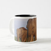 Tasse 2 Couleurs Les éléphants indiens dans les Prairies (Devant gauche)