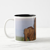 Tasse 2 Couleurs Les éléphants indiens dans les Prairies (Gauche)