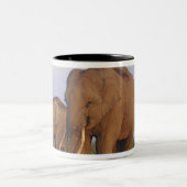 Tasse 2 Couleurs Les éléphants indiens dans les Prairies (Centre)