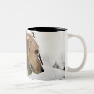 Tasse 2 Couleurs Les Etats-Unis, le Colorado, chien regardant par