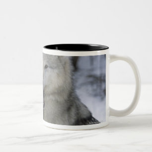 Tasse 2 Couleurs Les Etats-Unis, Montana, loups jouant dans la