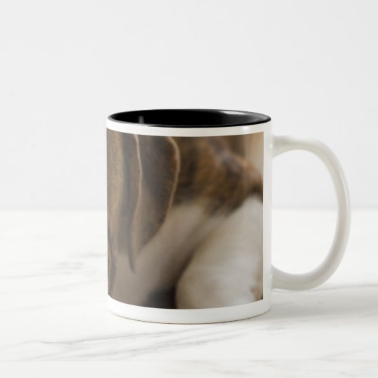 Tasse 2 Couleurs Les Etats-Unis, New Jersey, Jersey City, chiot (Droit)