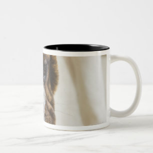 Tasse 2 Couleurs Les Etats-Unis, New Jersey, Jersey City, chiot