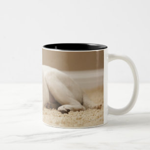 Tasse 2 Couleurs Les Etats-Unis, Utah, Lehi, portrait de Labrador