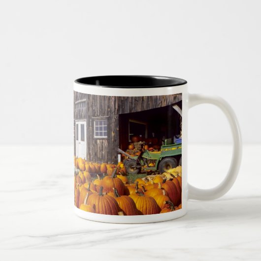 Tasse 2 Couleurs Les Etats-Unis, Vermont, Shelbourne, citrouilles (Droit)