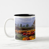 Tasse 2 Couleurs Les Etats-Unis, Vermont, Shelbourne, citrouilles (Gauche)
