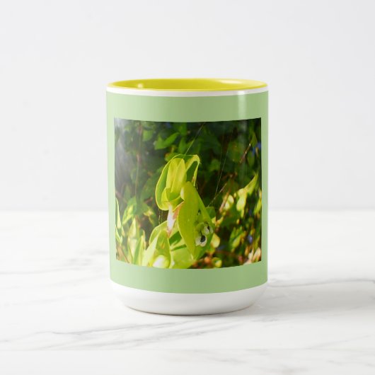 Tasse 2 Couleurs Les fleurs éco-vertes (Centre)
