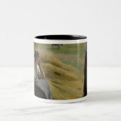 Tasse 2 Couleurs Les moissonneuses (Centre)