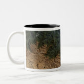 Tasse 2 Couleurs Les montagnes des Andes (Gauche)