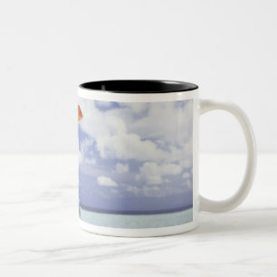 Tasse 2 Couleurs Les poissons sautant de l'aquarium