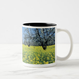 Tasse 2 Couleurs Les pommiers Dans une moutarde mettent en place,
