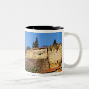 Tasse 2 Couleurs Les ruines du château d'été du Pape en