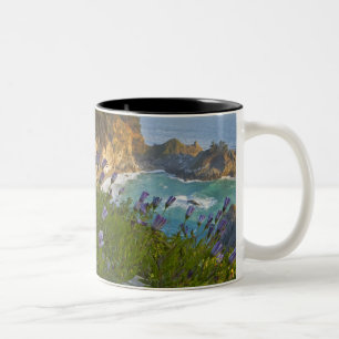 Tasse 2 Couleurs Les Scenic McWay Falls se jettent sur la plage et