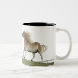 Tasse 2 Couleurs L'état des Etats-Unis, New-York, le Hudson, cheva