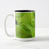 Tasse 2 Couleurs Lettuce Romaine Calme (Gauche)