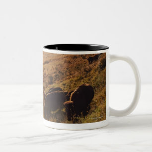 Tasse 2 Couleurs Lever de soleil sur le bison