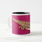 Tasse 2 Couleurs Lézard, de Colombie (Devant gauche)