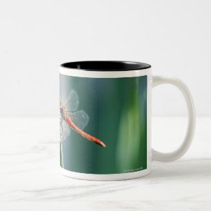 Tasse 2 Couleurs Libellule