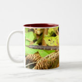 Tasse 2 Couleurs Libellule Brown de colporteur (F) (Gauche)