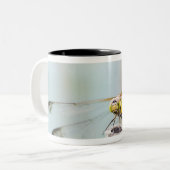 Tasse 2 Couleurs Libellule (infuscatum de Sympetrum) 2 (Devant gauche)
