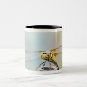 Tasse 2 Couleurs Libellule (infuscatum de Sympetrum) 2 (Centre)