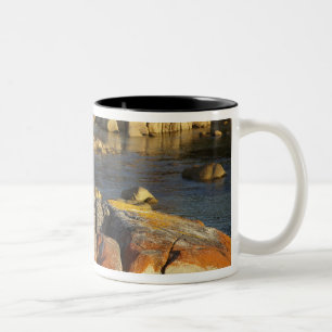 Tasse 2 Couleurs Lichen orange sur des rochers, Binalong Bay, baie