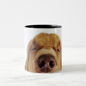 Tasse 2 Couleurs Limier (chien de St Hubert) avec les yeux fermés, (Centre)